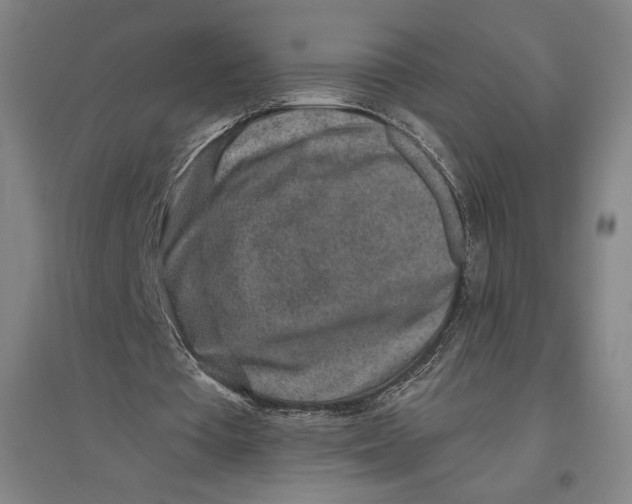 X0000096630385200802261209