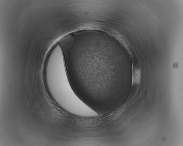 X0000096630387200802261209