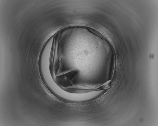 X0000096630389200802261209