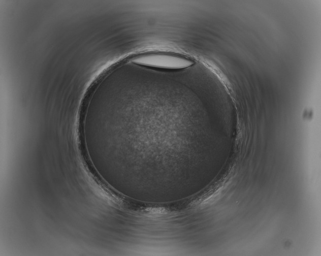 X0000096630391200802261209