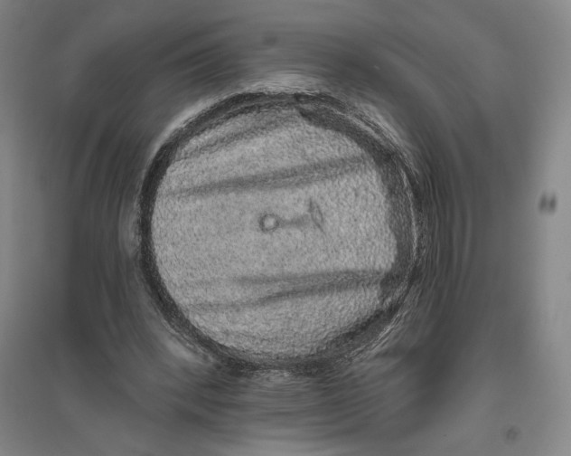 X0000096630392200802261209