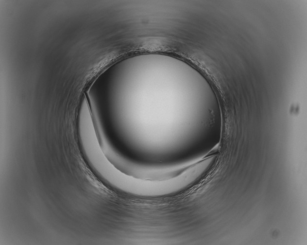 X0000096630393200802261209