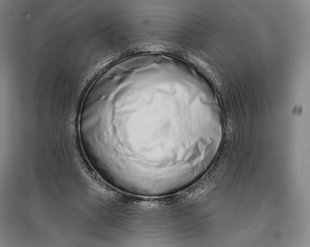 X0000096630394200802261209