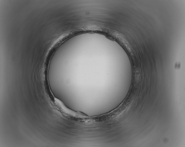 X0000096630395200802261209