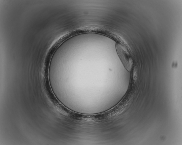 X0000096630396200802261209