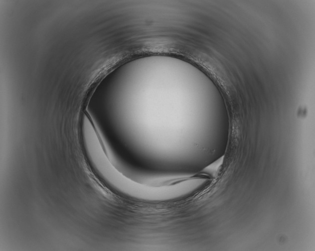 X0000096630397200802261209