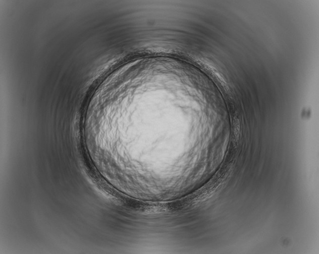 X0000096630398200802261209