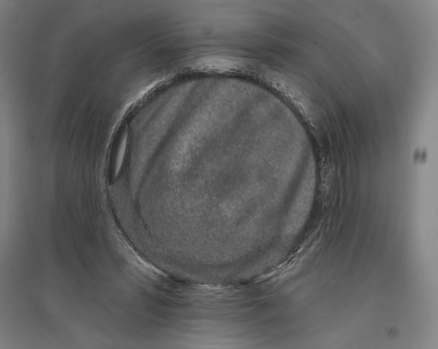 X0000096630399200802261209