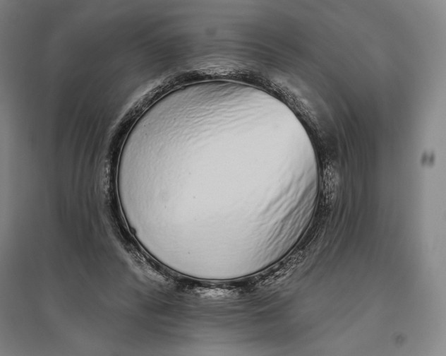 X0000096630400200802261209