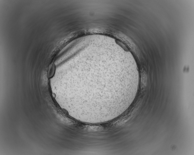 X0000096630401200802261209