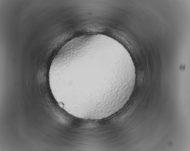 X0000096630402200802261209