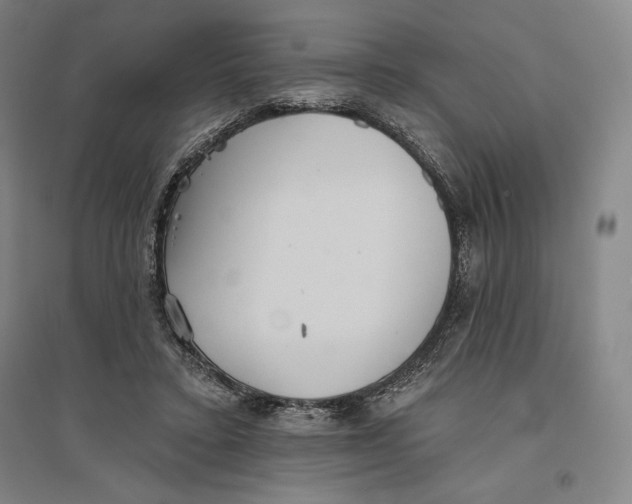 X0000096630403200802261209