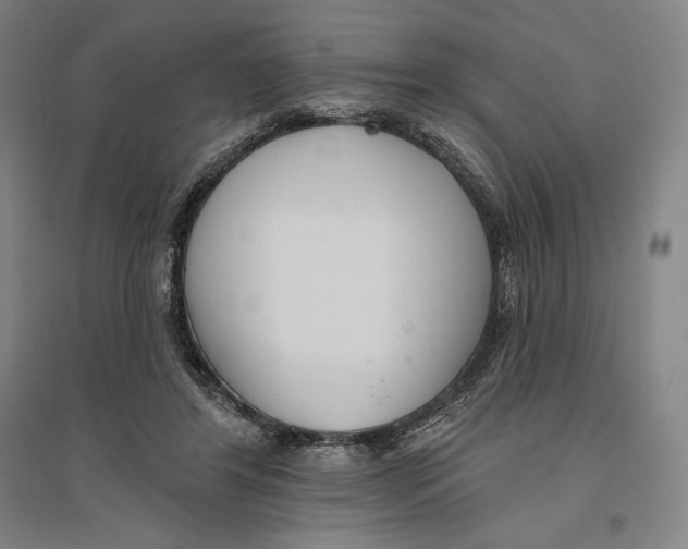 X0000096630404200802261209