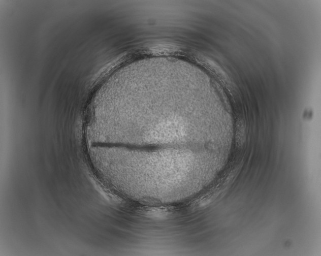 X0000096630405200802261209