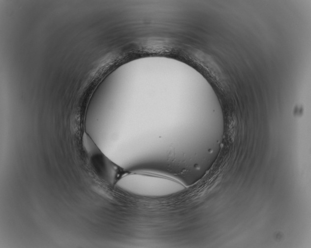 X0000096630407200802261209