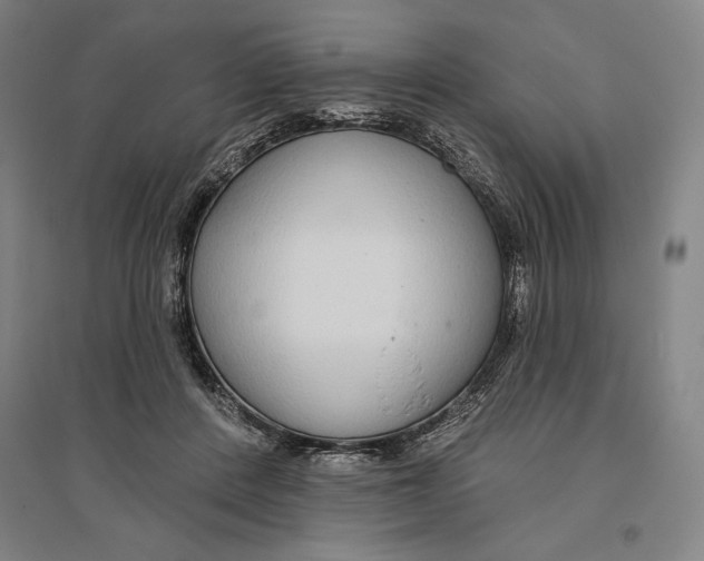 X0000096630408200802261209