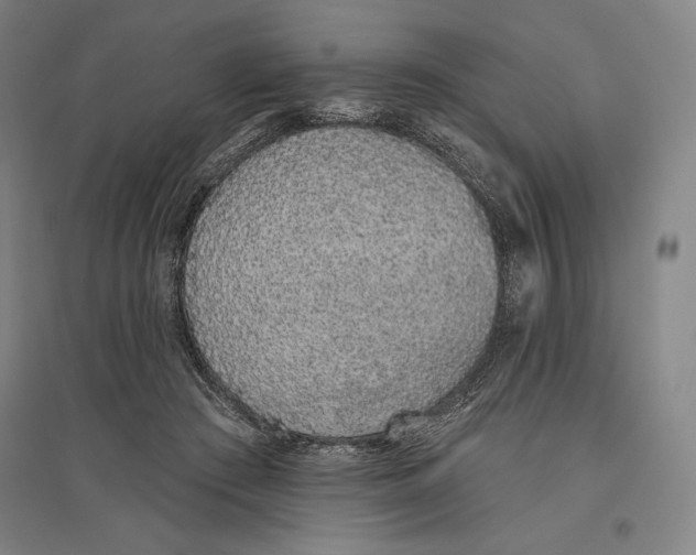 X0000096630409200802261209