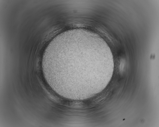 X0000096630410200802261209