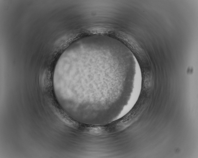 X0000096630411200802261209