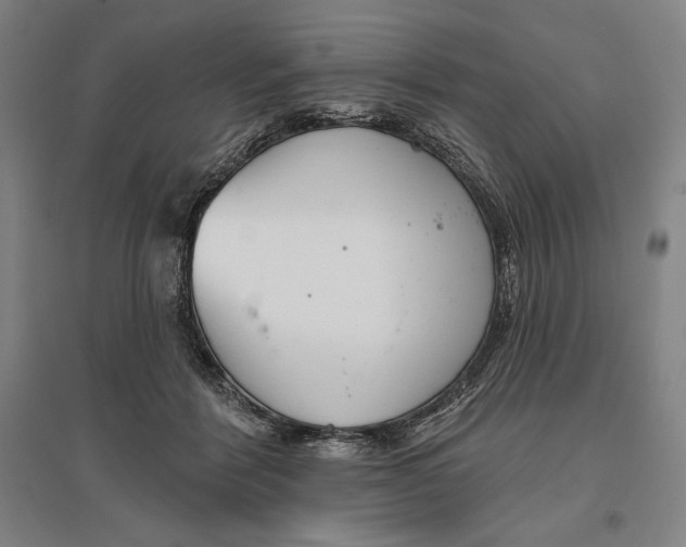 X0000096630412200802261209