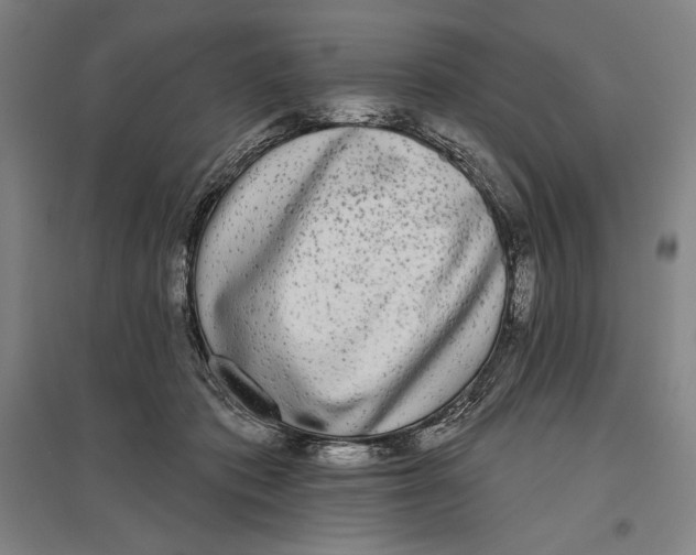 X0000096630413200802261209