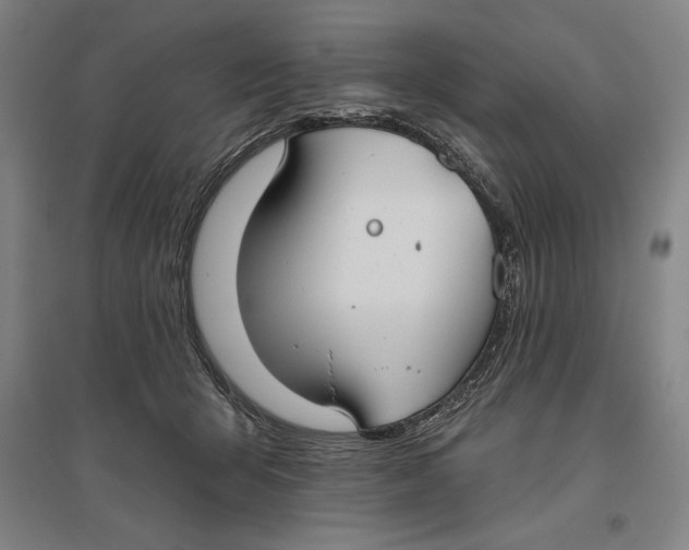 X0000096630415200802261209