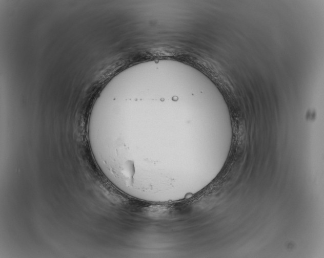 X0000096630418200802261209