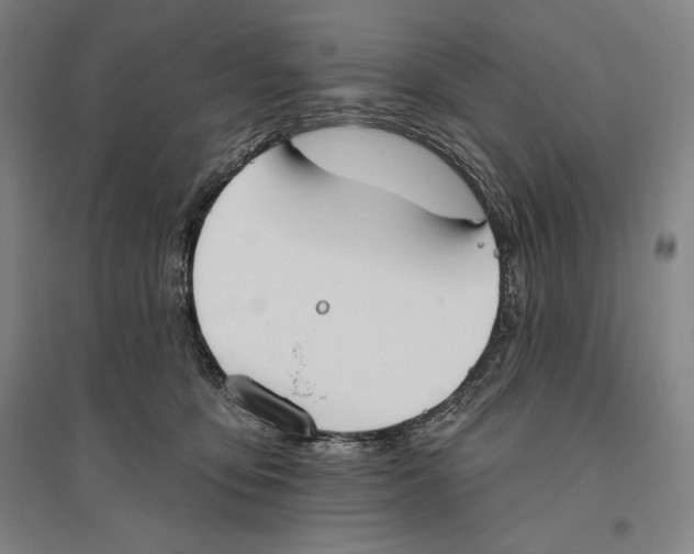 X0000096630419200802261209