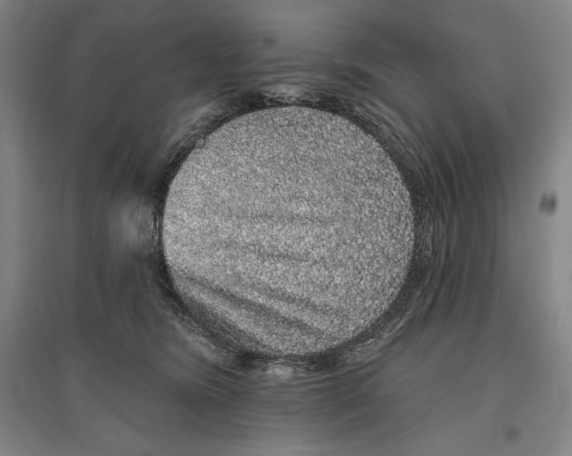 X0000096630420200802261209