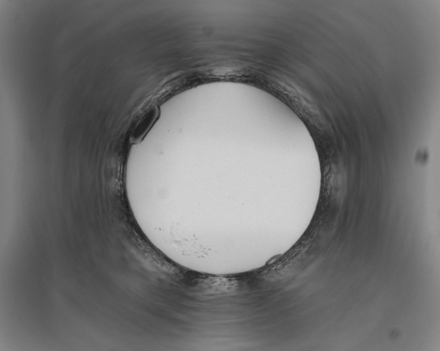 X0000096630421200802261209