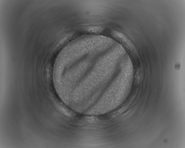 X0000096630424200802261209