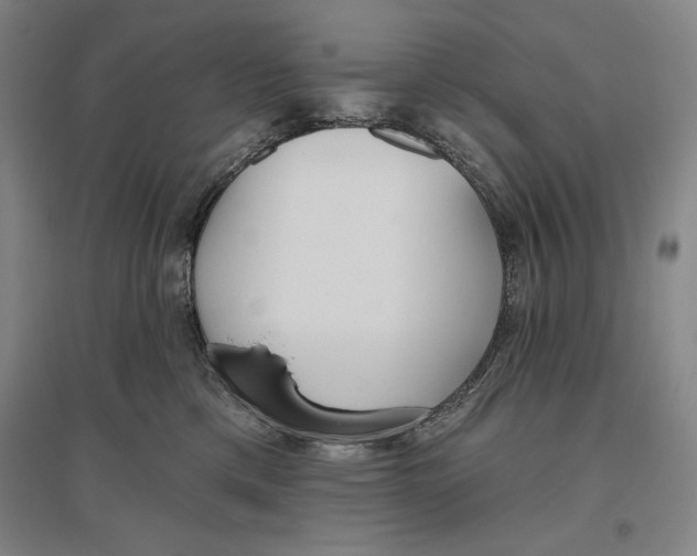 X0000096630425200802261209