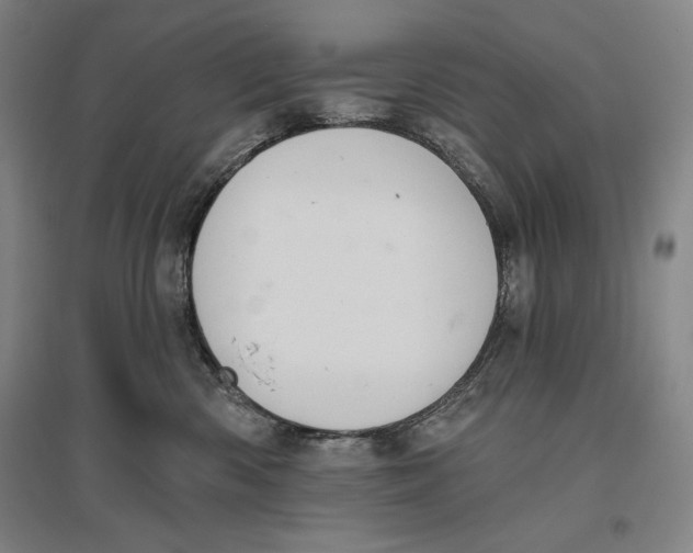 X0000096630426200802261209