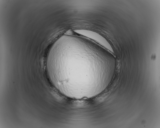 X0000096630428200802261209