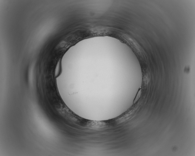 X0000096630429200802261209