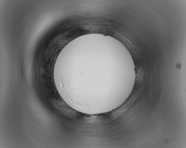 X0000096630430200802261209