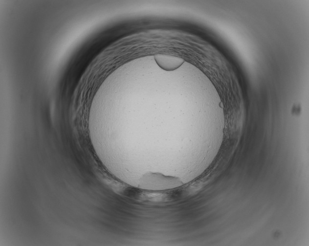 X0000096630431200802261209