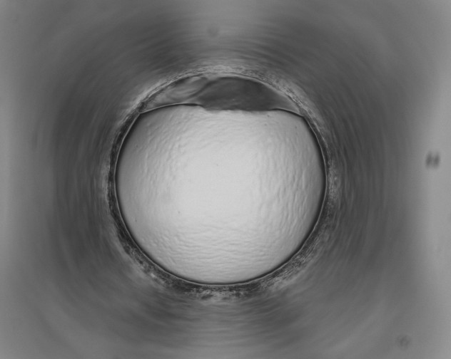 X0000096630434200802261208