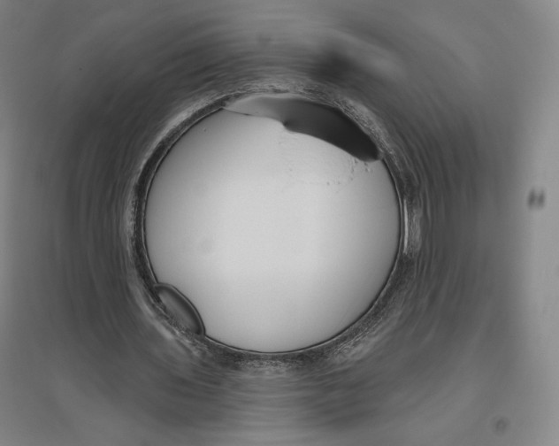 X0000096630435200802261208