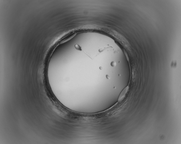 X0000096630436200802261208