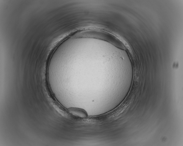 X0000096630437200802261208