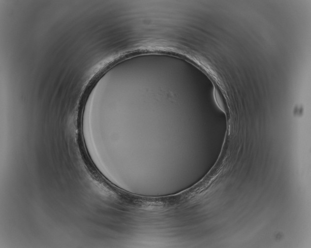 X0000096630438200802261208