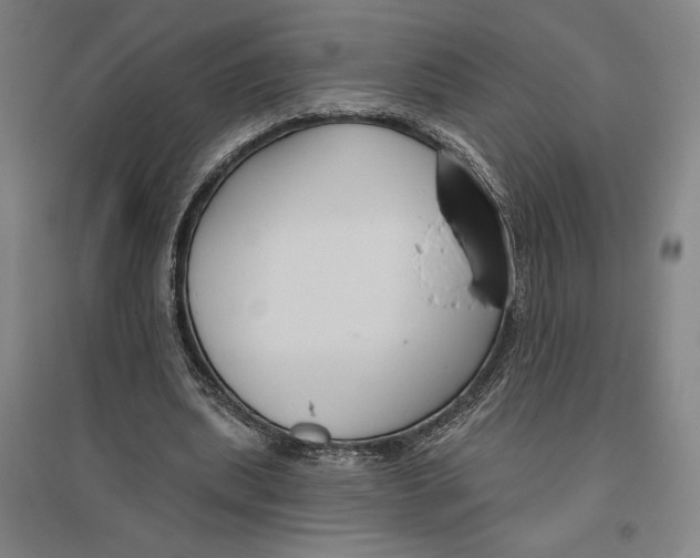 X0000096630439200802261208