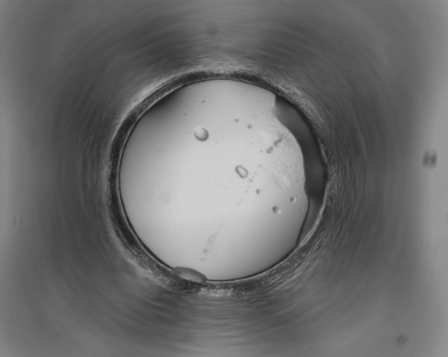 X0000096630440200802261208