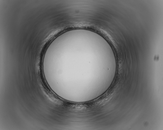 X0000096630443200802261208