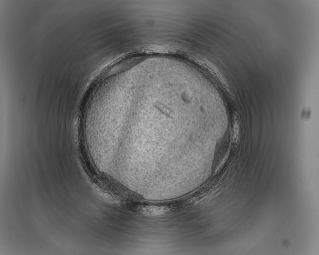 X0000096630444200802261208