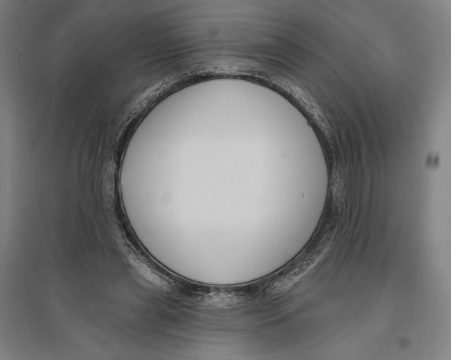 X0000096630445200802261208