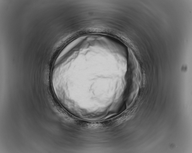 X0000096630446200802261208