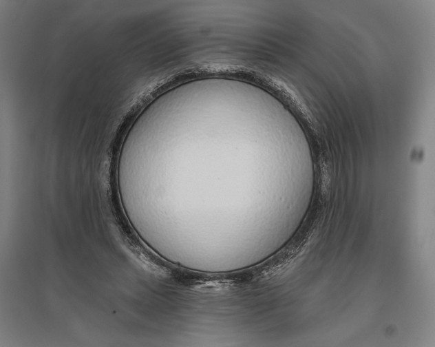 X0000096630447200802261208