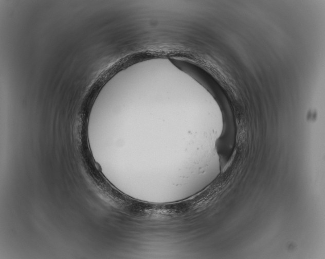 X0000096630448200802261208